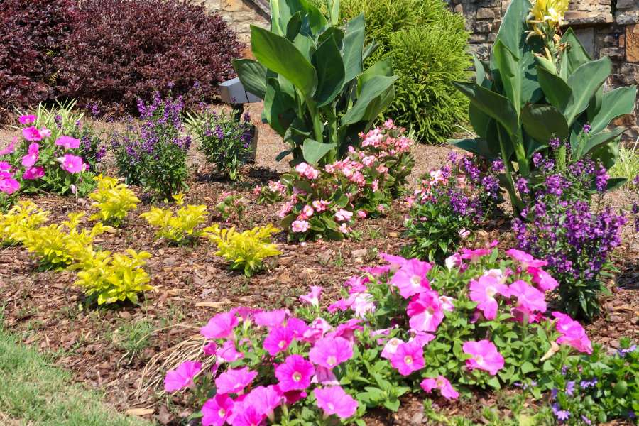 Commercial landscape maintenance services