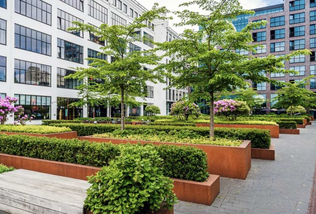 Tree and Shrub Care