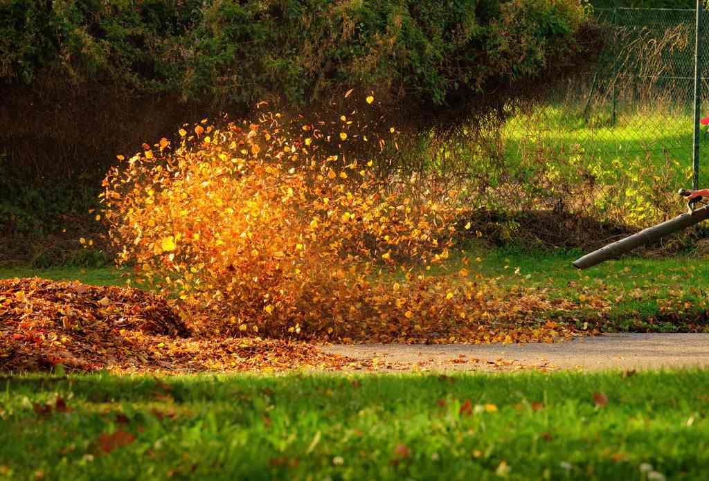 Commercial landscape maintenance services Mowing, Blowing, and Trimming